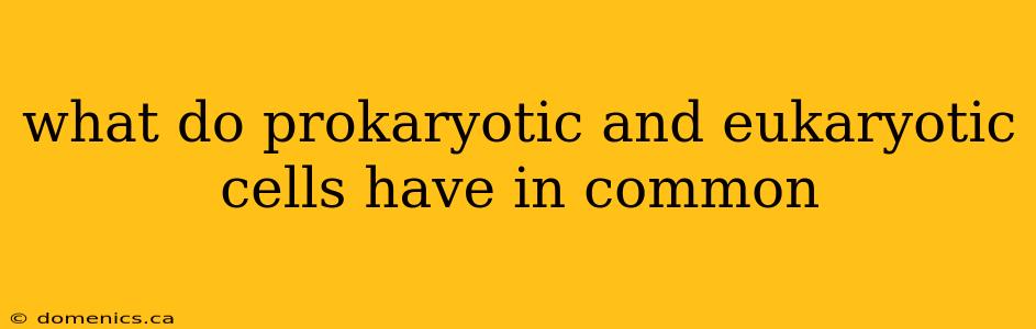 what do prokaryotic and eukaryotic cells have in common