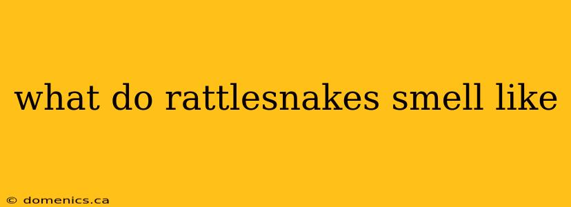 what do rattlesnakes smell like