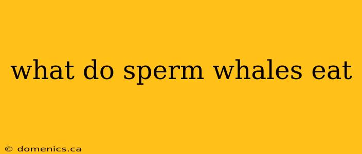 what do sperm whales eat