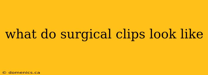what do surgical clips look like