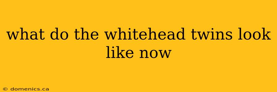 what do the whitehead twins look like now