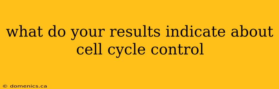 what do your results indicate about cell cycle control