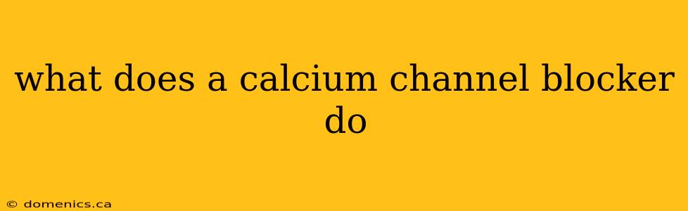 what does a calcium channel blocker do