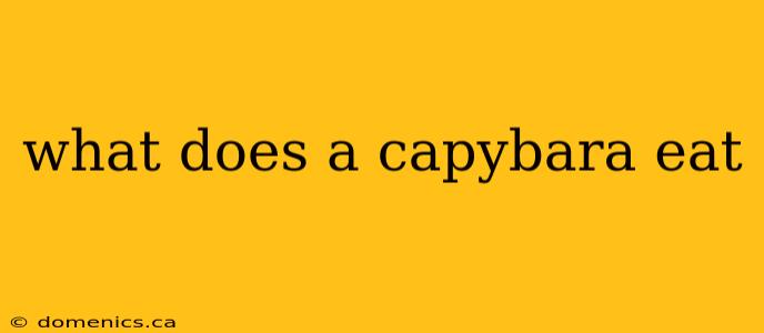 what does a capybara eat