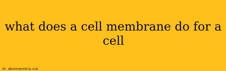 what does a cell membrane do for a cell