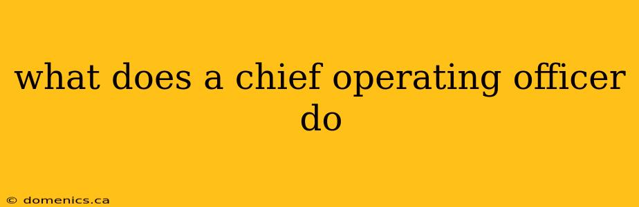 what does a chief operating officer do