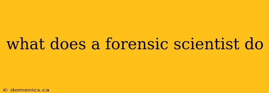 what does a forensic scientist do