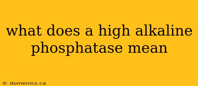 what does a high alkaline phosphatase mean