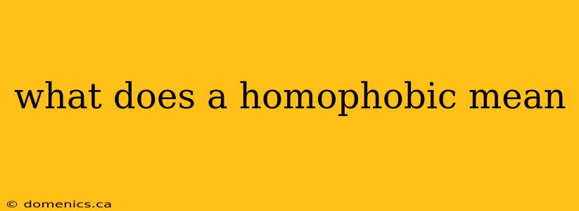 what does a homophobic mean