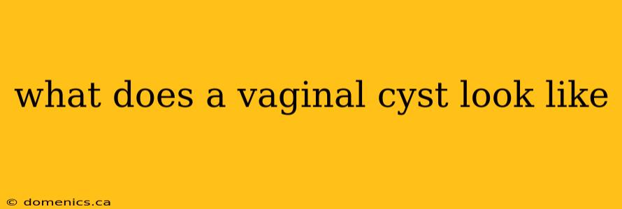 what does a vaginal cyst look like