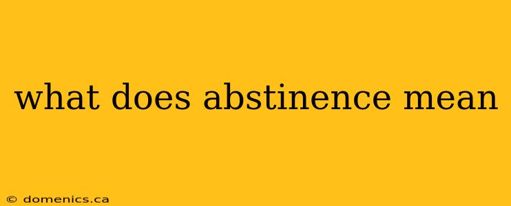 what does abstinence mean