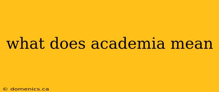 what does academia mean