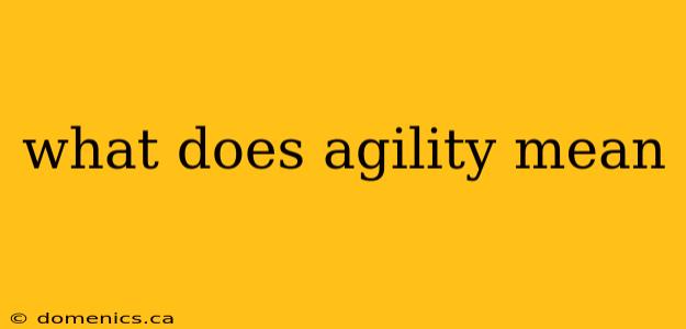 what does agility mean