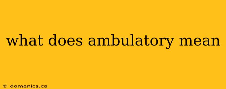 what does ambulatory mean