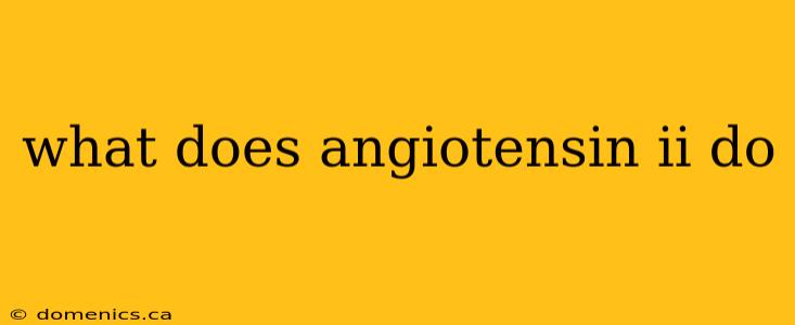 what does angiotensin ii do