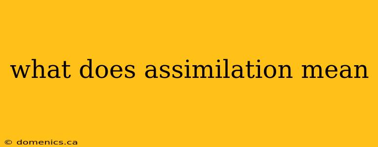 what does assimilation mean