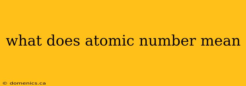 what does atomic number mean