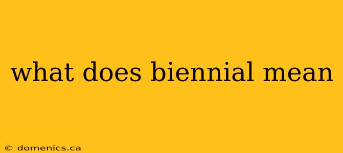 what does biennial mean