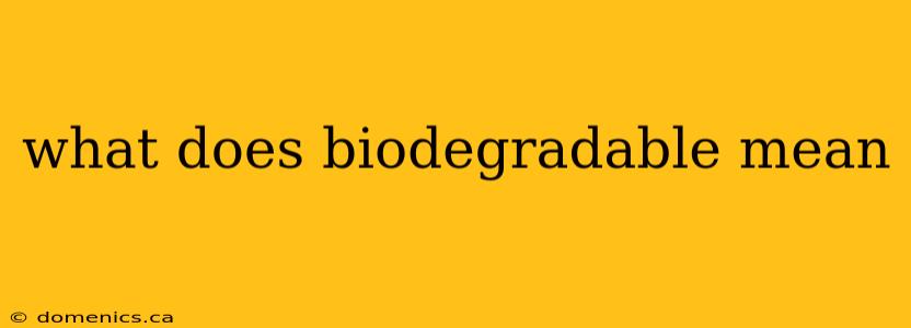 what does biodegradable mean