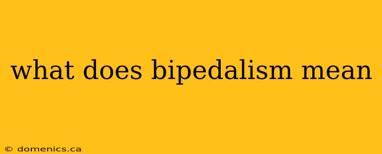 what does bipedalism mean