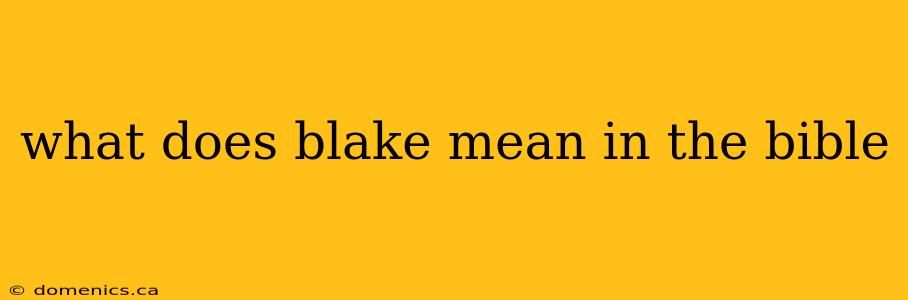 what does blake mean in the bible