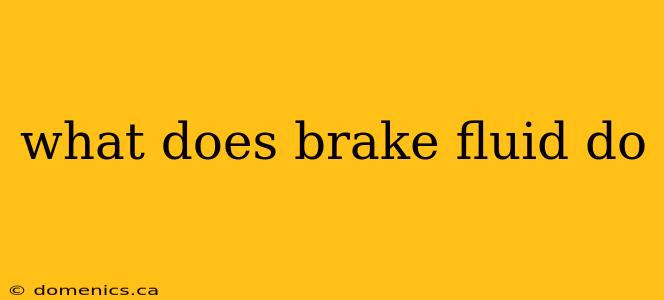 what does brake fluid do