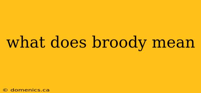 what does broody mean