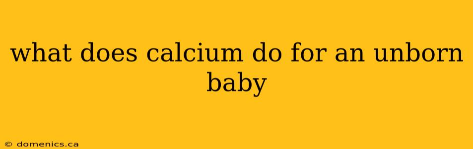 what does calcium do for an unborn baby