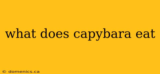 what does capybara eat