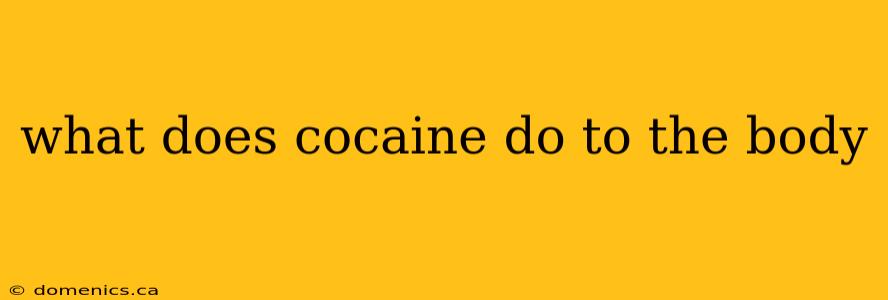 what does cocaine do to the body