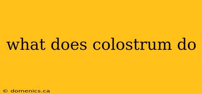 what does colostrum do