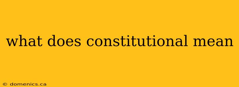 what does constitutional mean