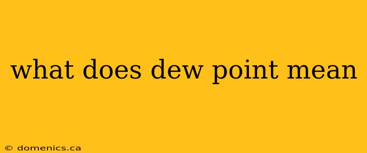 what does dew point mean