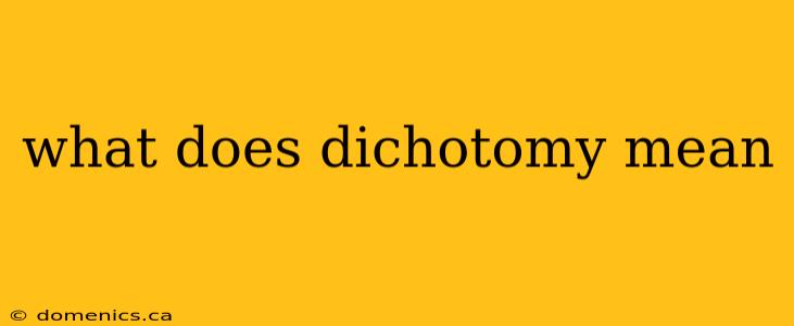 what does dichotomy mean