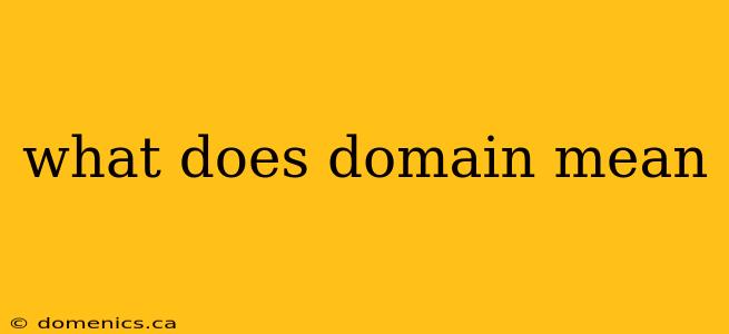 what does domain mean