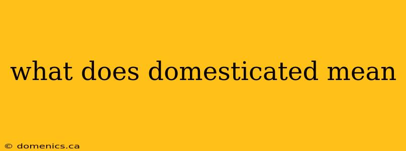 what does domesticated mean