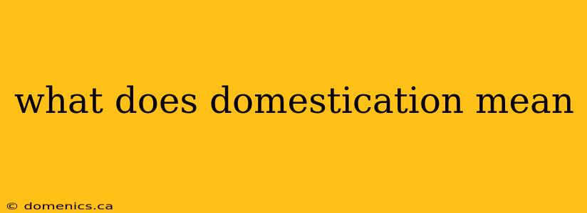 what does domestication mean