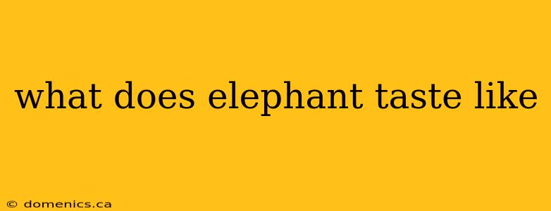 what does elephant taste like