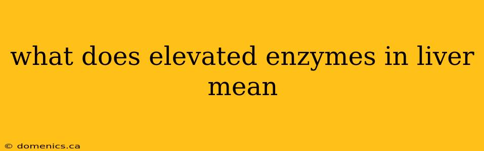 what does elevated enzymes in liver mean