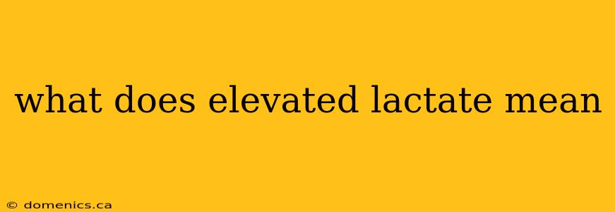 what does elevated lactate mean