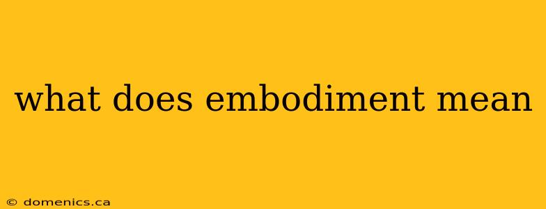 what does embodiment mean