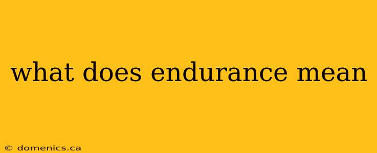 what does endurance mean