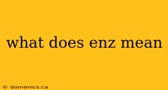 what does enz mean