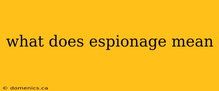 what does espionage mean