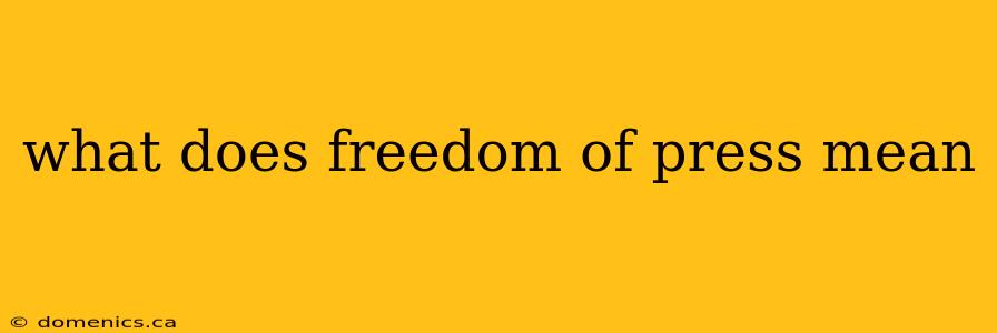 what does freedom of press mean