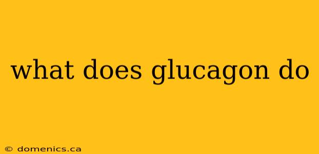 what does glucagon do