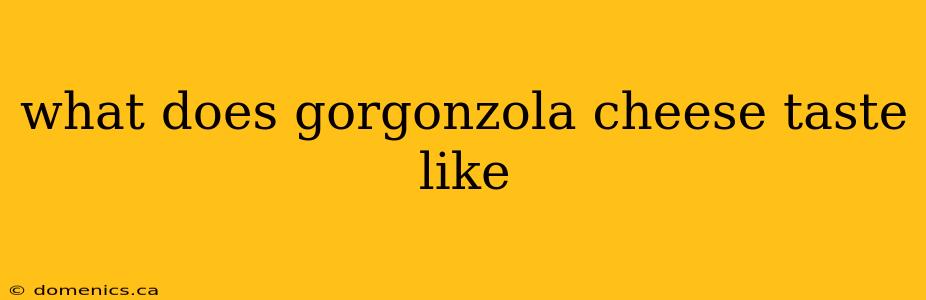 what does gorgonzola cheese taste like