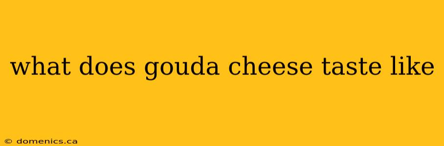 what does gouda cheese taste like