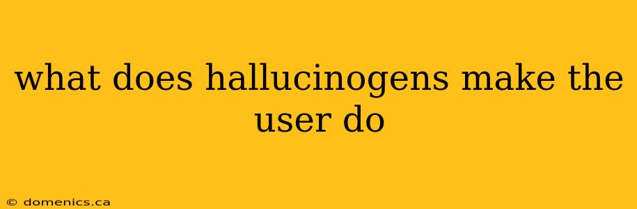 what does hallucinogens make the user do