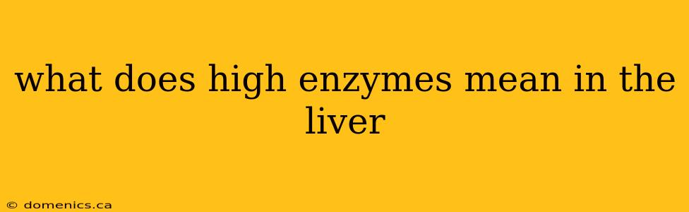 what does high enzymes mean in the liver